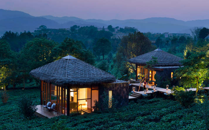 1566266077808710.jpg 天賜普洱·世界茶源2.jpg