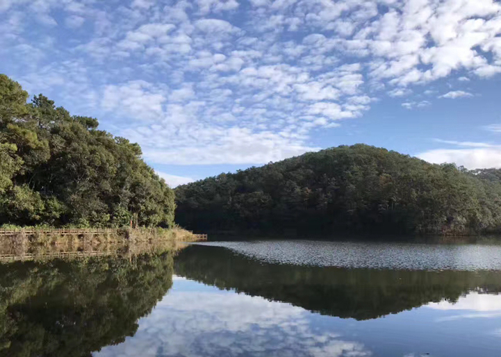 1566266111453166.jpg 天賜普洱·世界茶源4.jpg