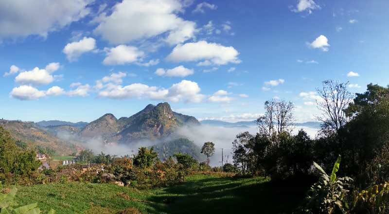 1566266286998008.jpg 普洱市擦亮普洱茶“金字招牌”1.jpg