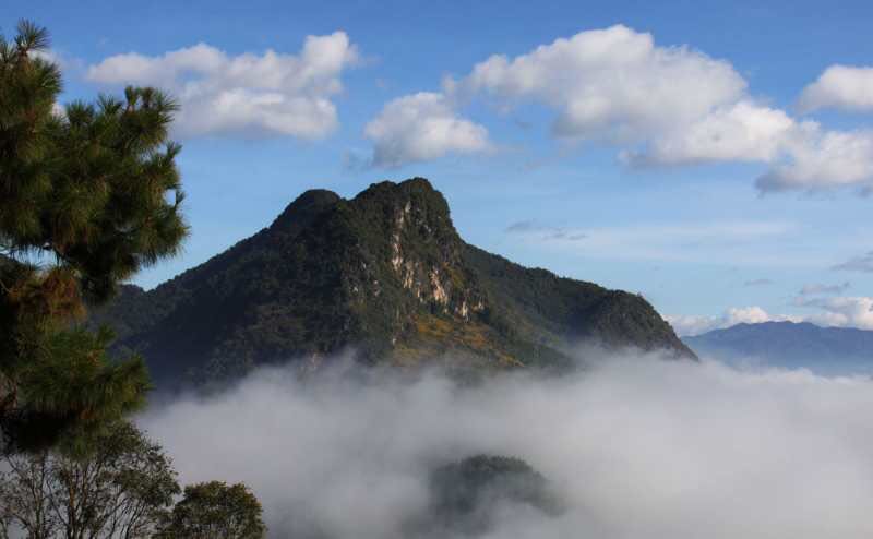 1566266410112669.jpg 普洱市擦亮普洱茶“金字招牌”7.jpg