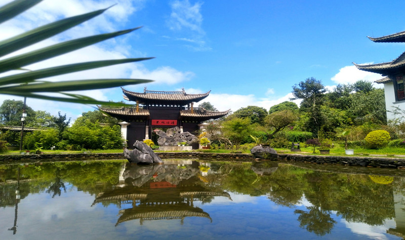 1566268466955274.jpg 中華普洱茶博覽苑.jpg