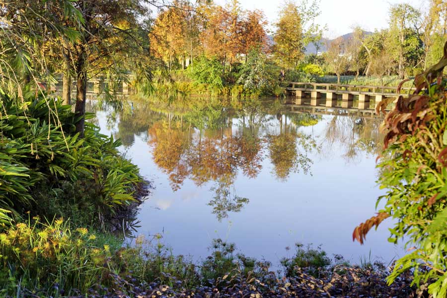 1566269756600528.jpg 普洱市被授予國家森林城市榮譽(yù)稱號(hào)2.jpg