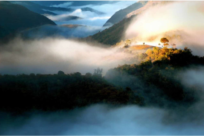 1566270673879227.png 普洱品牌 天下共享2.png