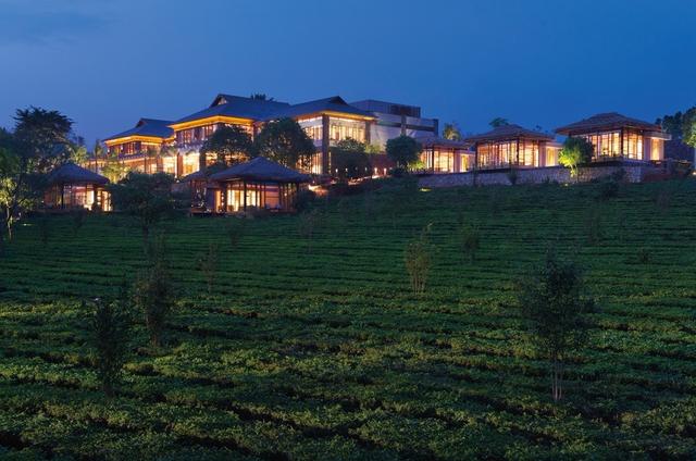 1566374921816236.jpg 普洱景邁柏聯(lián)普洱茶莊園有限公司3.jpg