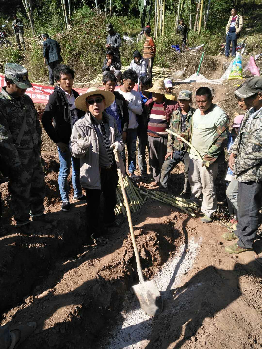 1566872919770482.jpg 西盟縣開展甘蔗全膜覆蓋技術(shù)培訓(xùn).jpg