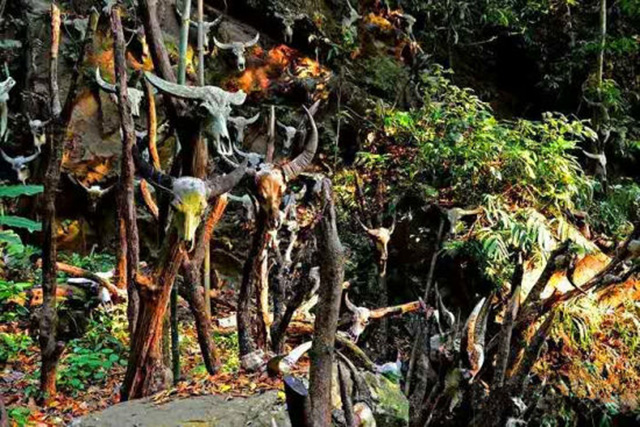 1566891568781959.jpg 1.jpg