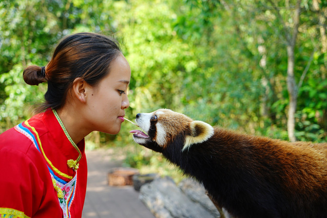 1566891797897576.jpg 犀牛坪景區(qū)1.jpg