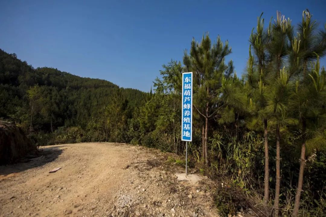 1566963055906510.jpg 胡峰.jpg