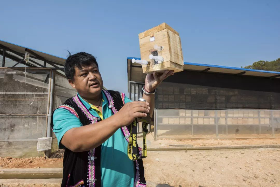 1566963079962351.jpg 胡峰1.jpg