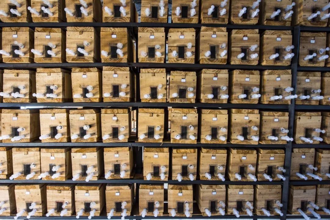 1566963111955475.jpg 胡峰3.jpg