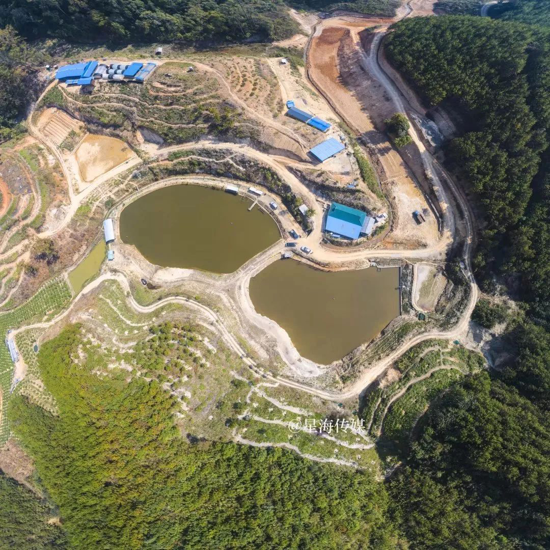 1566963129863752.jpg 胡峰4.jpg