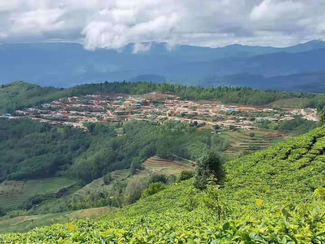 1584417073464513.png image.png