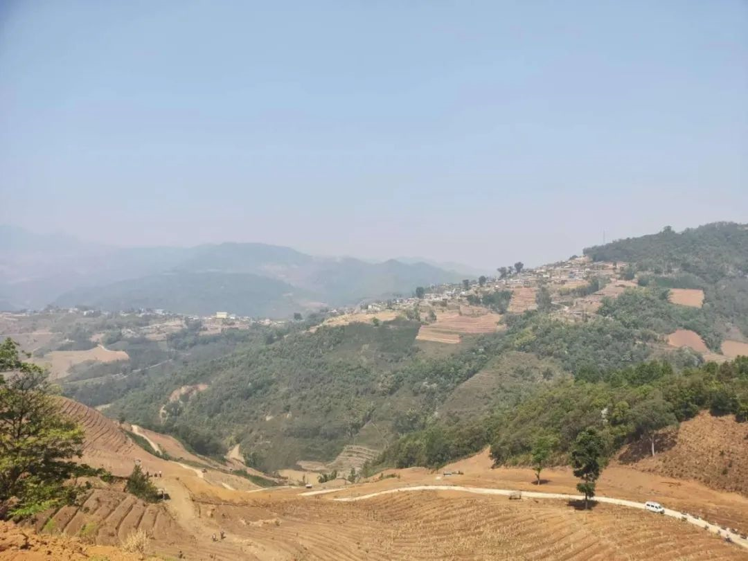 1584417111912158.png image.png