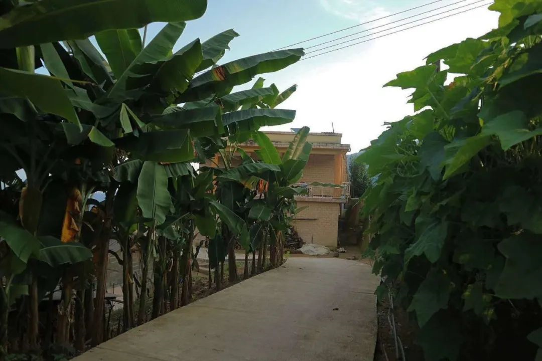 1584437297620343.png image.png