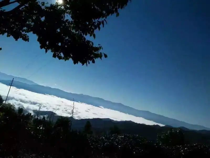 1584437333423108.png image.png