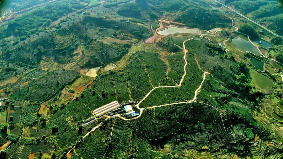 1585706821653401.jpg 0423a18eac9b6ad1e8df8848dc2e998.jpg