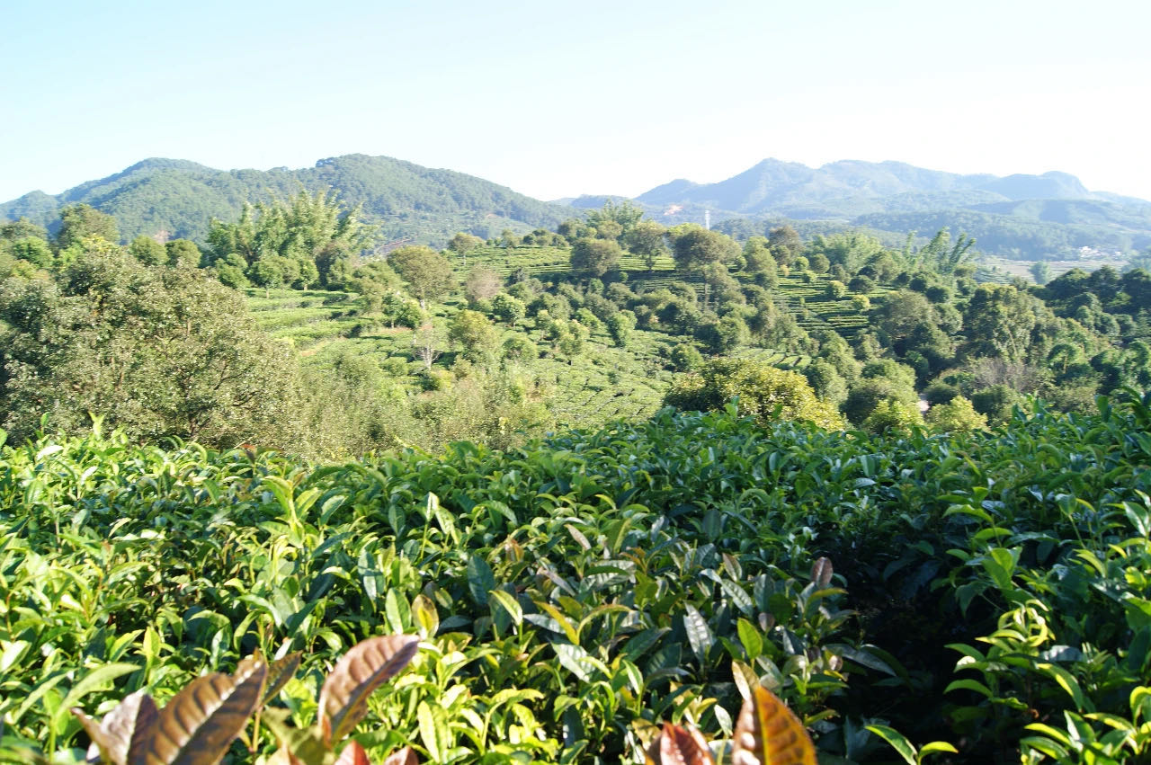 1585706854393020.jpg 7612bc4a802937352b1ee8252cd3b4b.jpg