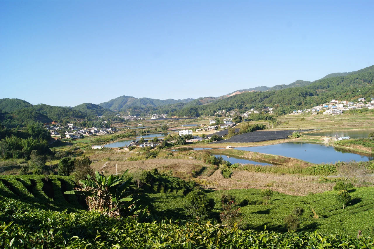 1585706898134202.jpg 683da65bcd38273c9470ab1a2e98232.jpg