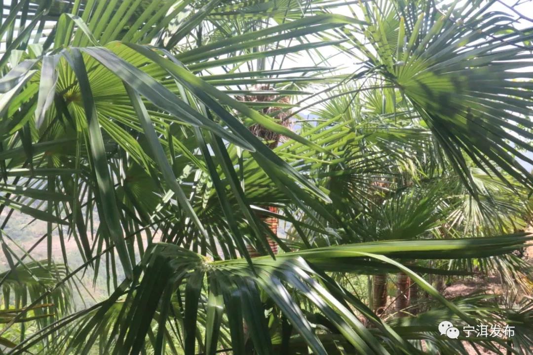 1586230397223738.jpg 微信圖片_20200407113306.jpg