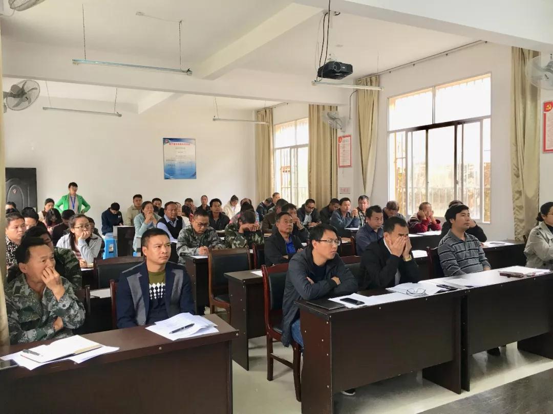 1617259457154203.jpg m.jpg