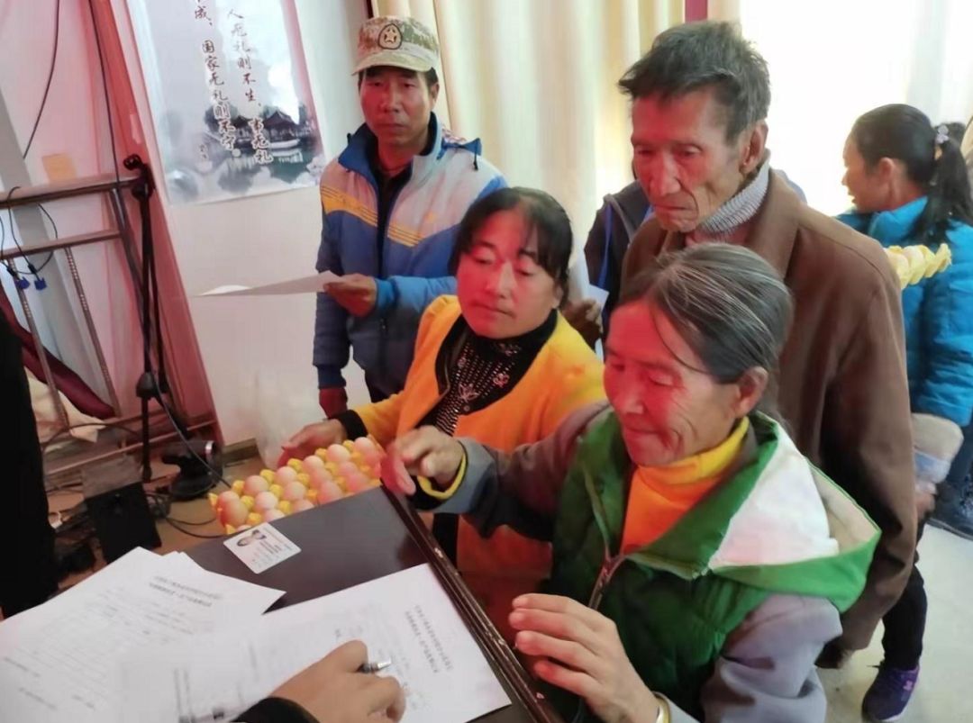 1617259770183896.jpg q4.jpg