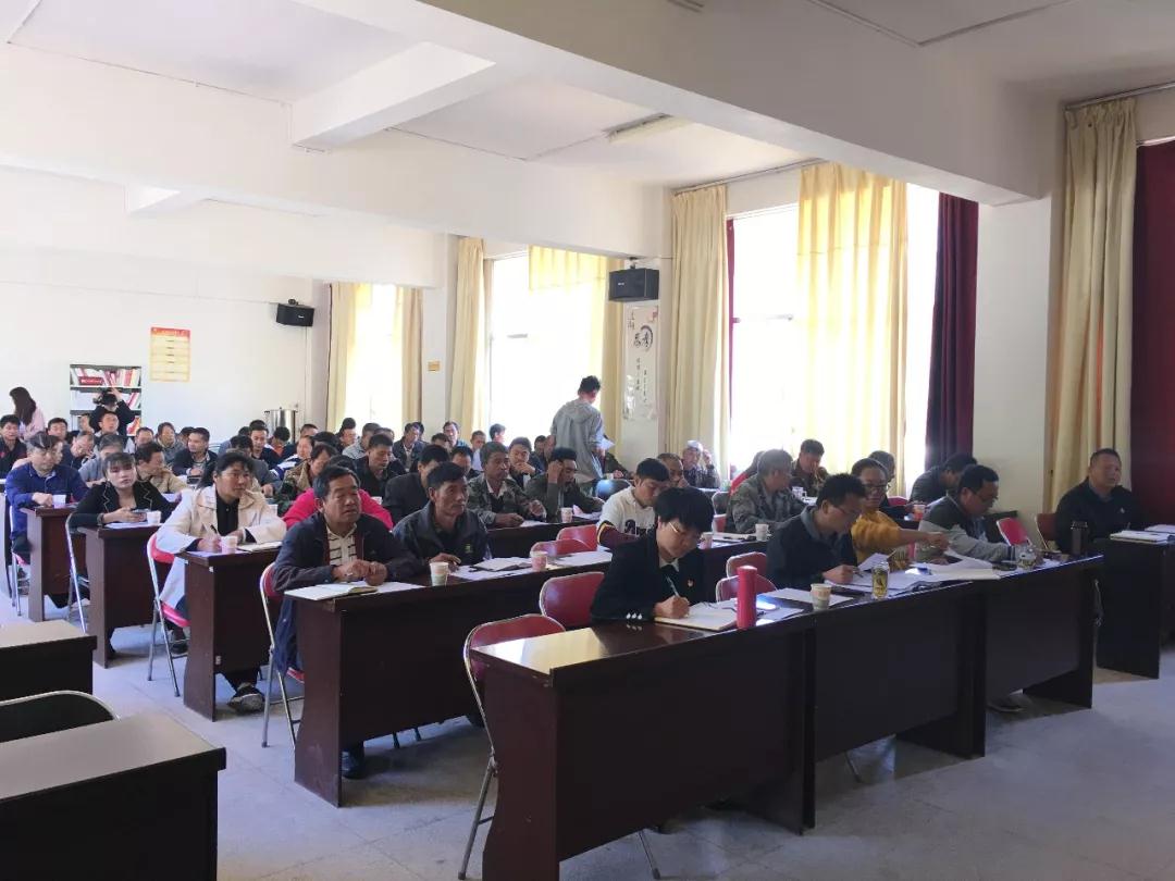 1617259896422052.jpg z1.jpg