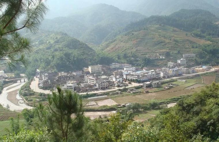 1617259931294306.jpg z4.jpg