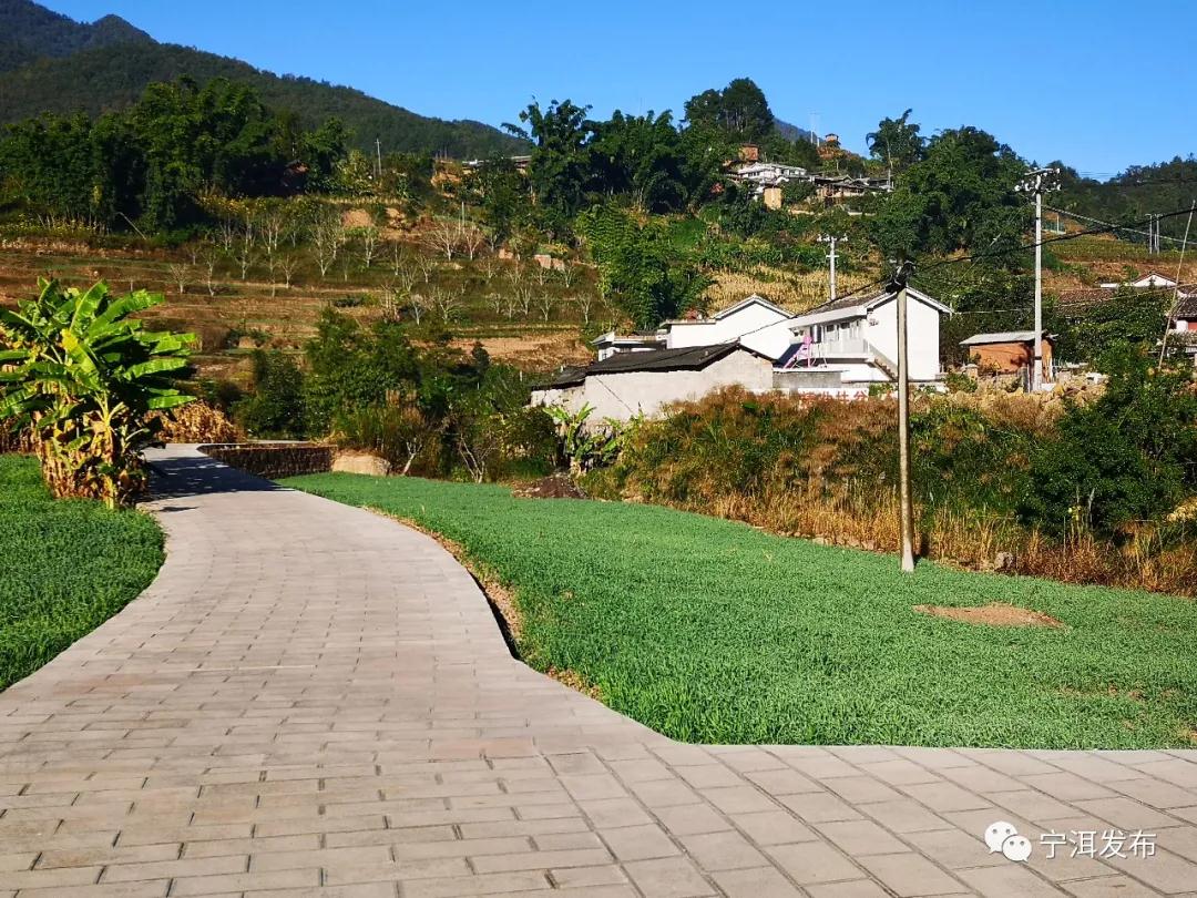 1617260088585351.jpg dd.jpg