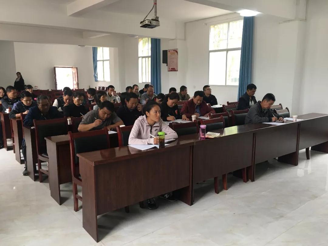 1617260632265757.jpg a3.jpg