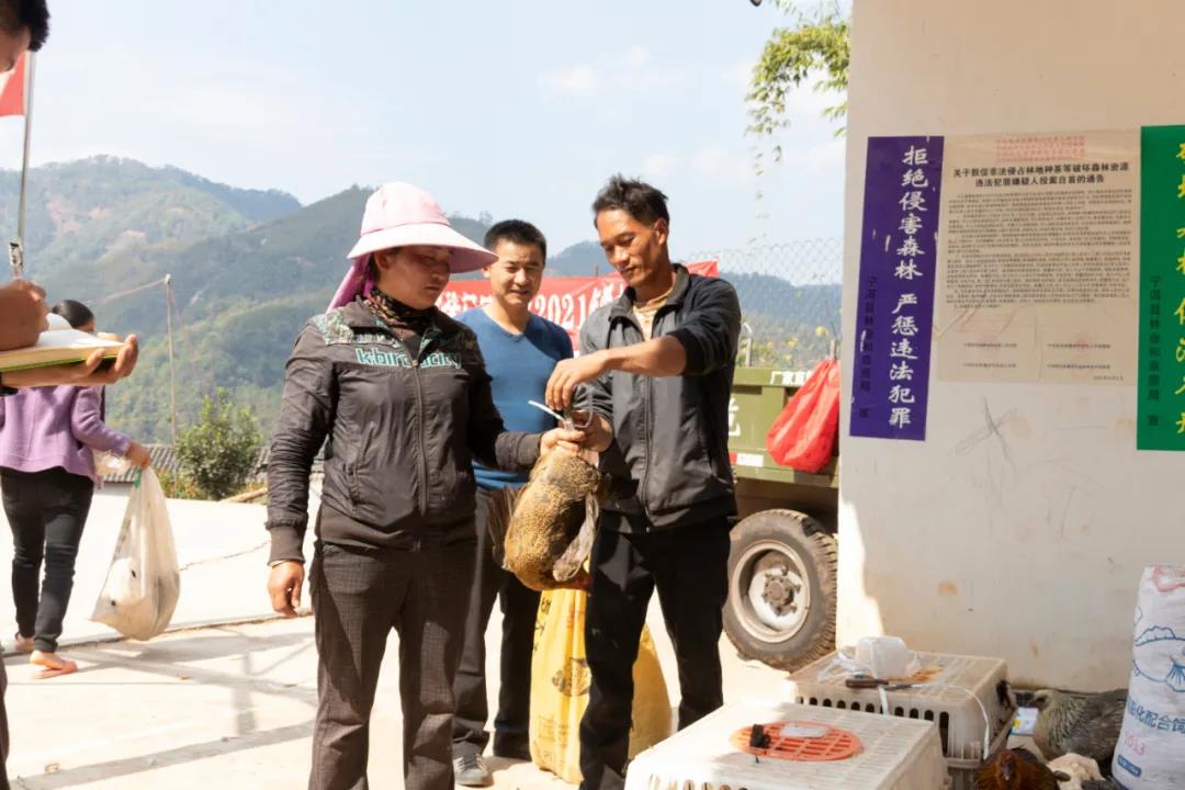 1626677643534025.jpg 3.jpg