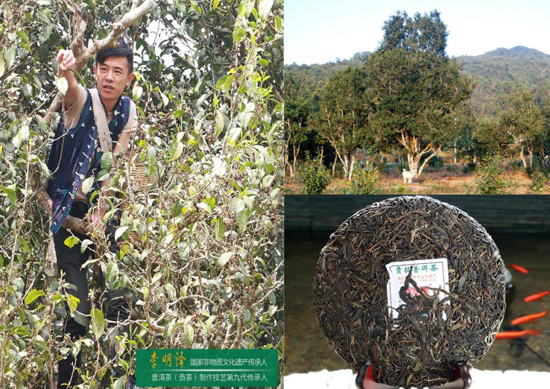 1626678122332265.png 2.png