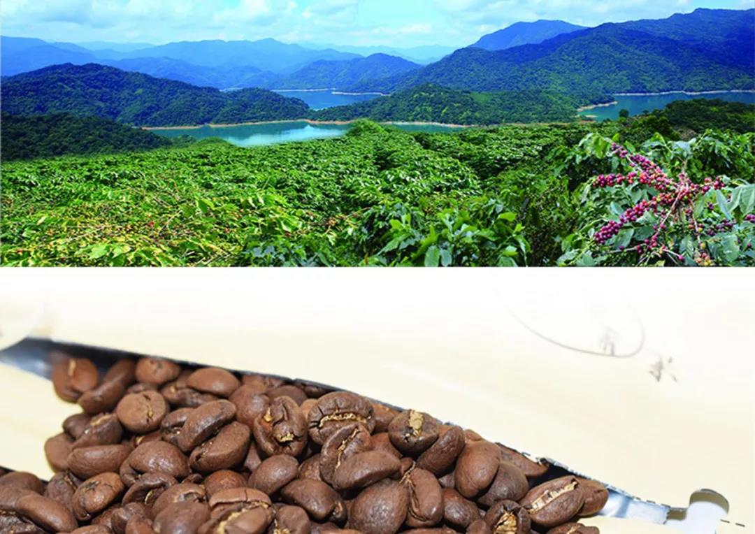 1626678137709718.jpg 3.jpg