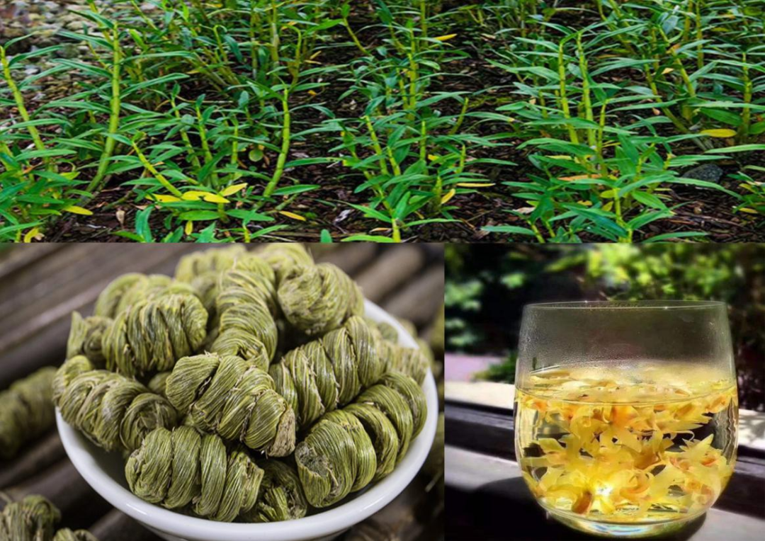 1626678154180021.png 4.png