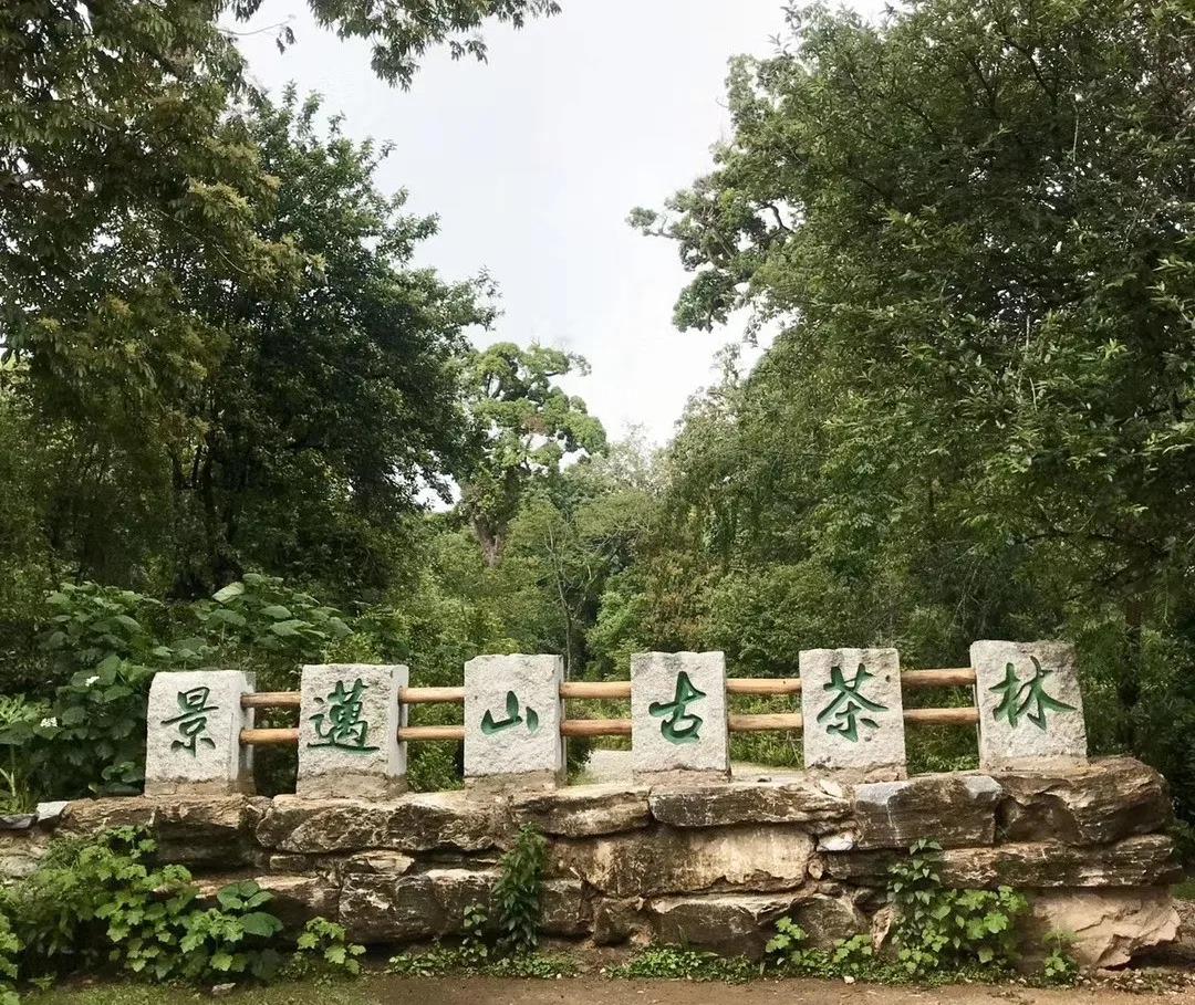 1626831651799805.jpg 1.jpg