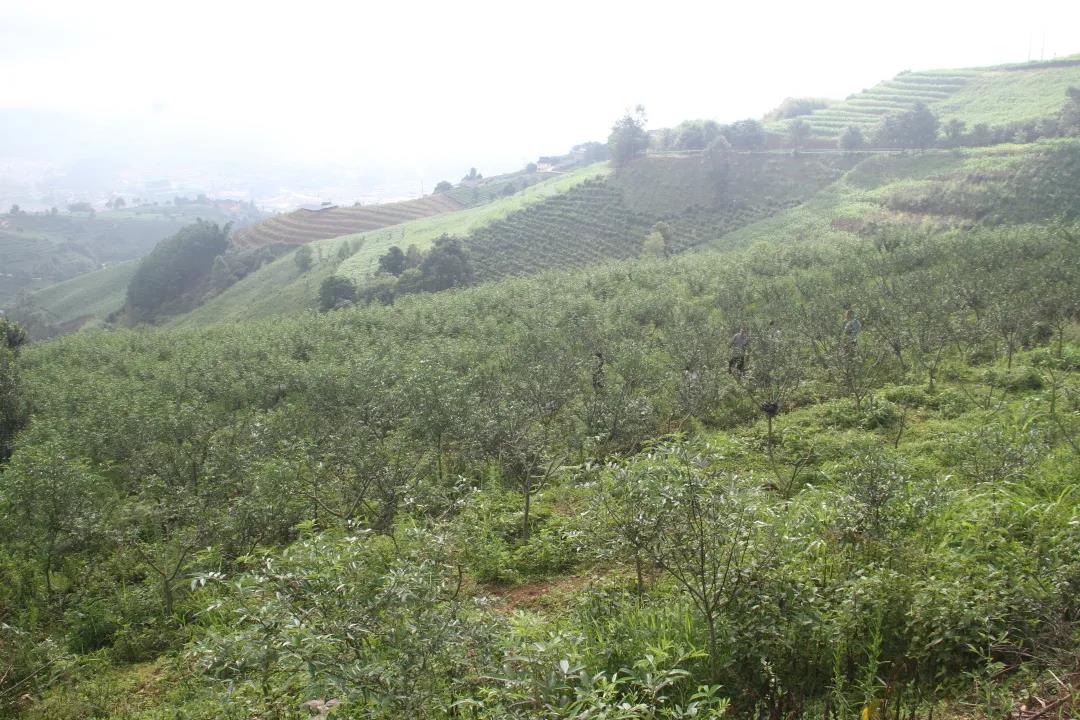 1626834076185301.jpg 微信圖片_20210721102047.jpg