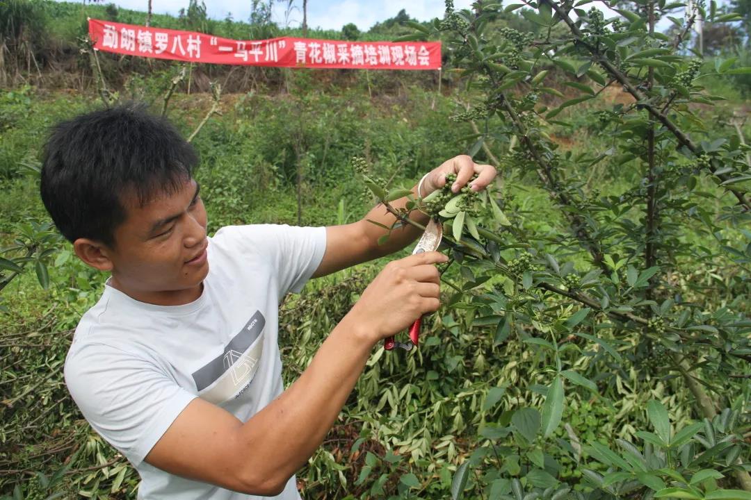 1626834087537305.jpg 微信圖片_20210721102053.jpg