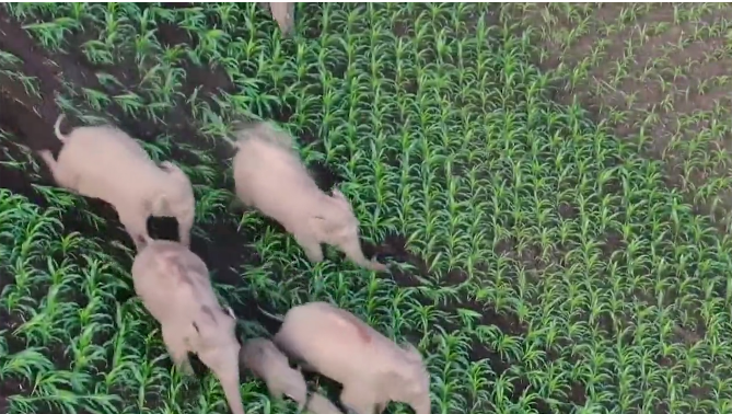 1626834452764129.png R4UTUT[7L@JXPEE}[_5O$C2.png