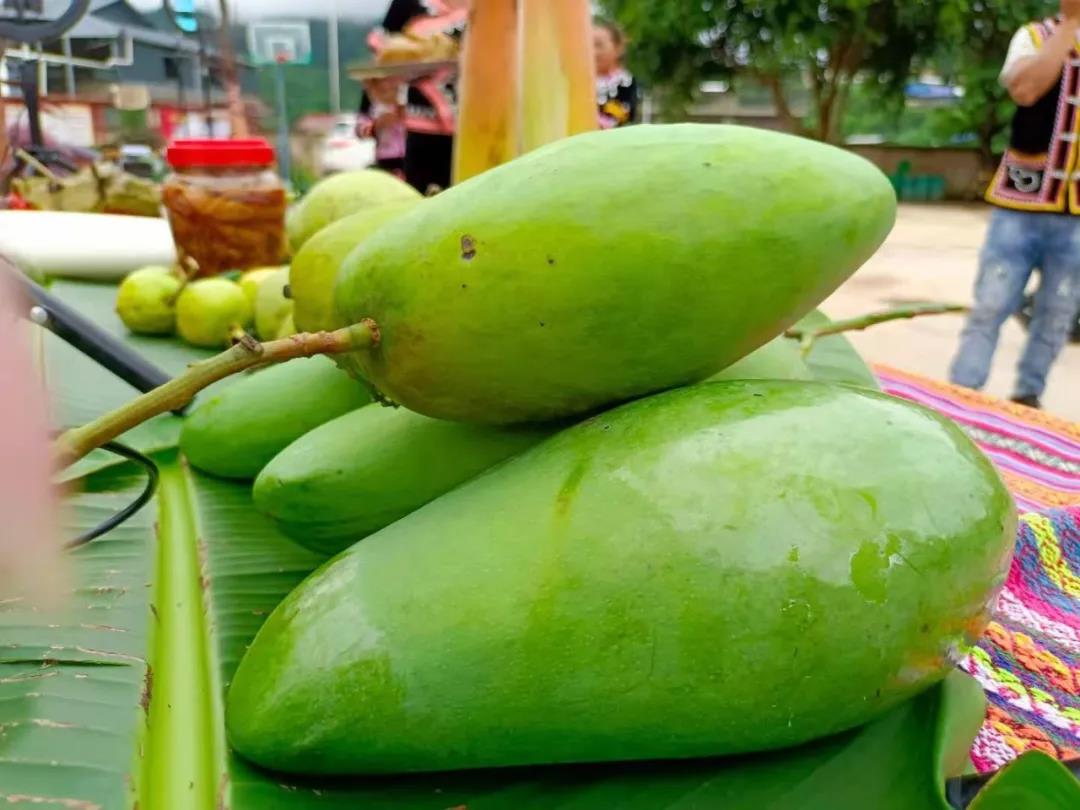 1626835507474484.jpg 微信圖片_20210721104448.jpg