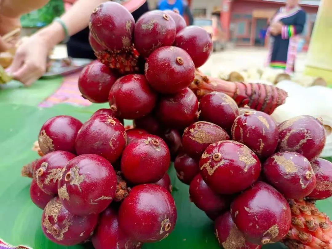 1626835520457408.jpg 微信圖片_20210721104451.jpg