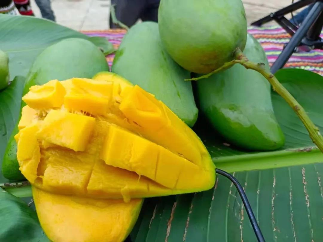 1626835545586916.jpg 微信圖片_20210721104530.jpg