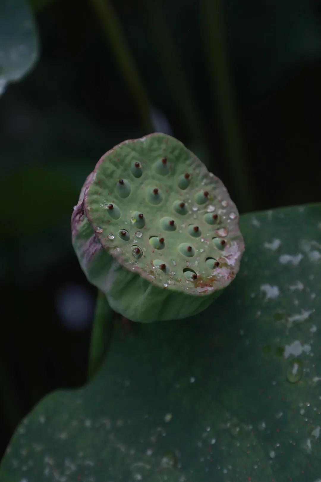 1626850193316952.jpg 微信圖片_20210721144647.jpg