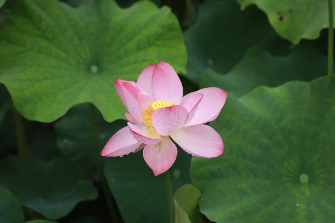 1626850216252784.jpg 微信圖片_20210721144651.jpg