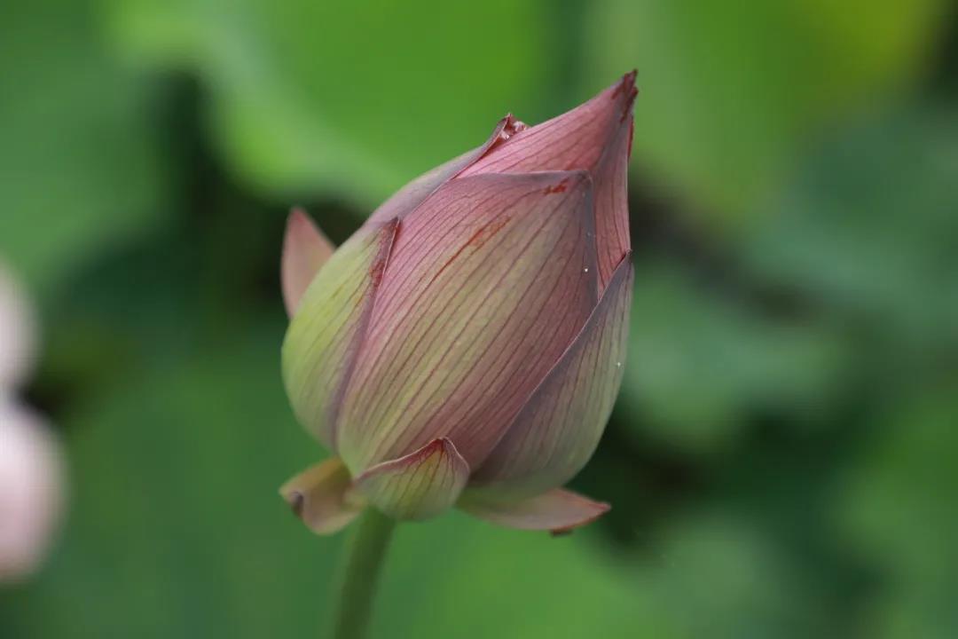 1626850224415571.jpg 微信圖片_20210721144655.jpg