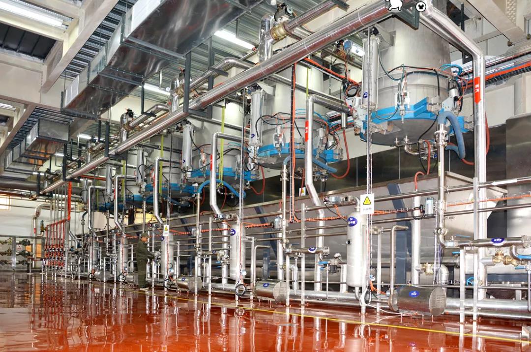 1637650521958515.jpg 05.jpg