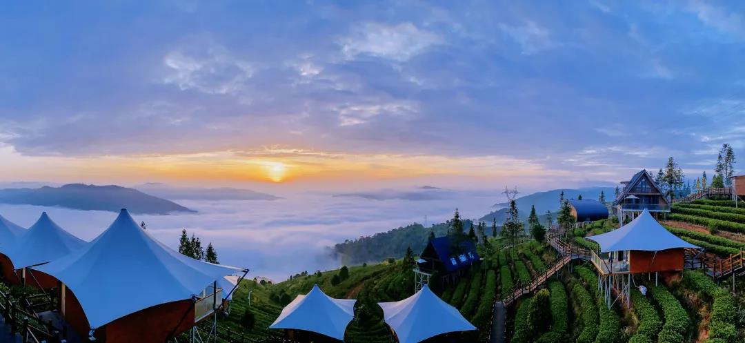 1637650621523688.jpg 12.jpg