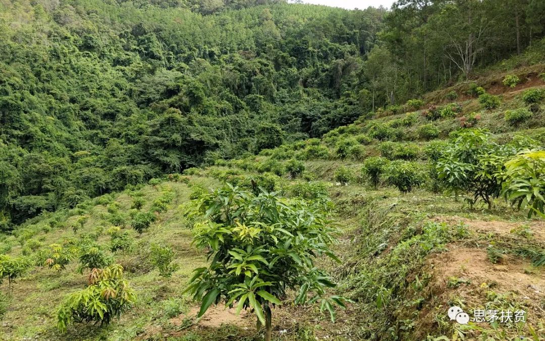 1638155051590791.jpg 微信圖片_20211126112156.jpg