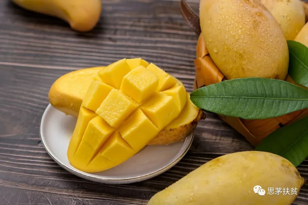 1638155112708955.jpg 微信圖片_20211126112224.jpg