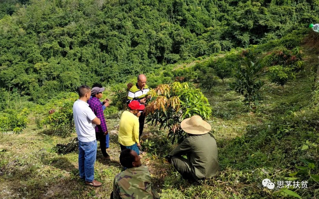 1638155137834030.jpg 微信圖片_20211126112202.jpg