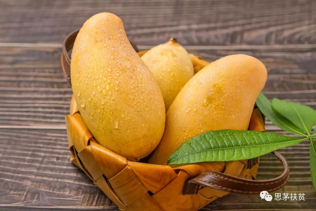 1638155172439110.jpg 微信圖片_20211126112221.jpg