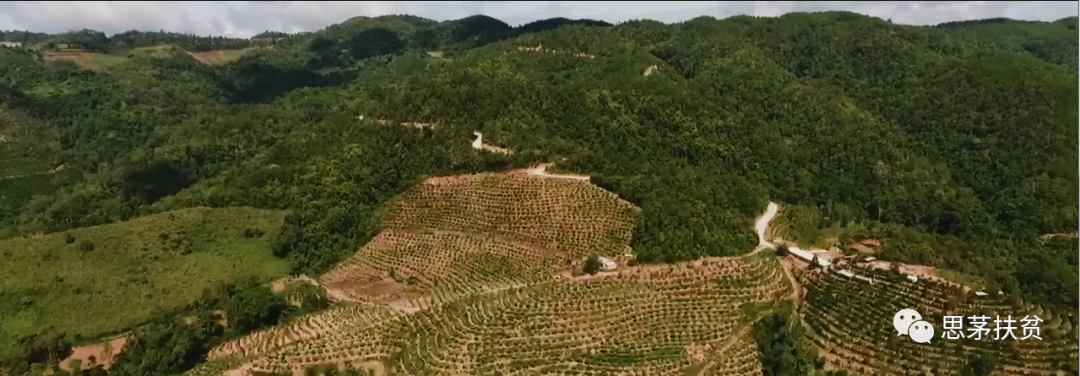 1638155216678484.png 微信圖片_20211126112152.png